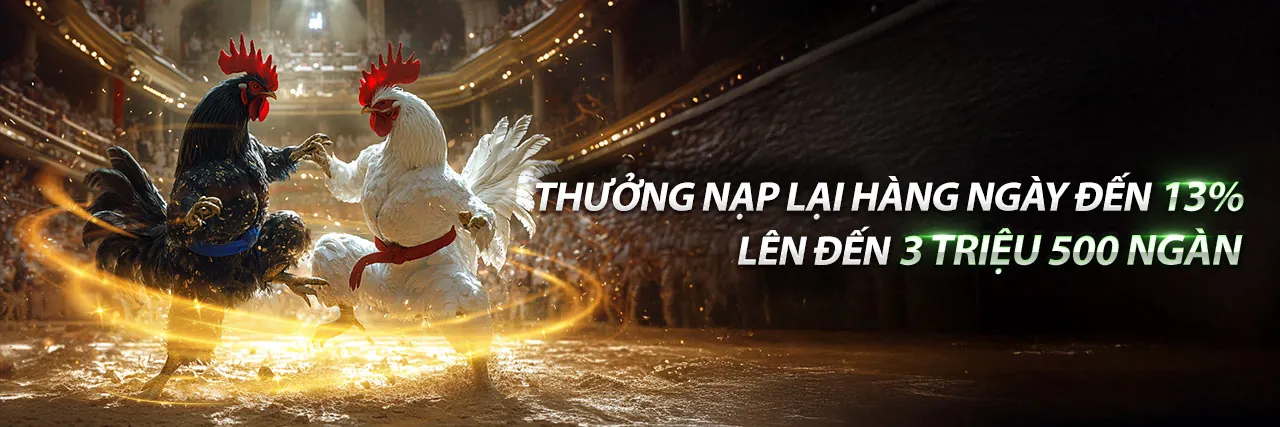 Banner khuyến mãi độc quyền từ ok83866 nhà cái
