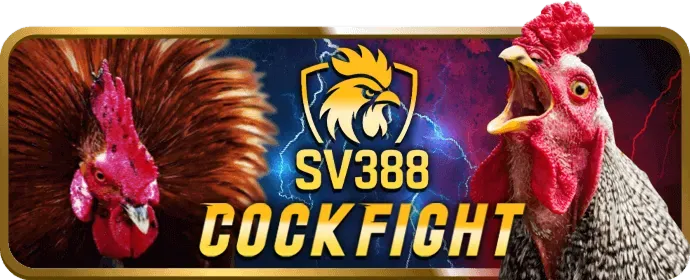 Đa dạng các loại game slot tại ok83866 nhà cái
